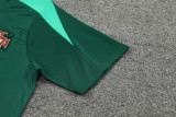 2024 Portugal Green Training Shorts Suit