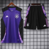 2024 Germany Purple Training Shorts Suit