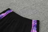 2024 Germany White Training Shorts Suit