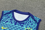 2024 Brazil Blue Training Shorts Suit