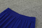 2024 Brazil Blue Training Shorts Suit