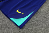 2024 Brazil Blue Training Shorts Suit