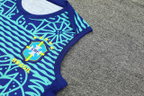 2024 Brazil Blue Training Shorts Suit