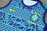 2024 Brazil Blue Training Shorts Suit