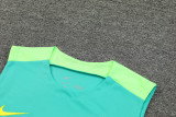 2024 Brazil Green Training Shorts Suit