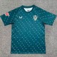 2024/25 UD Almeria Away Green Fans Soccer jersey