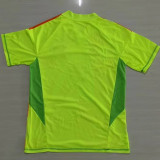 2024/25 Bayern GKG Green Fans Soccer jersey