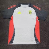 2024/25 Benfica Gray Training Shirts