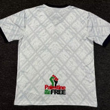 2024/25 CD Palestino Gray Training Shirts
