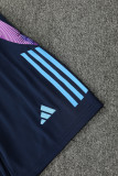 2024 Argentina Blue Training Shorts Suit