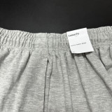Gray Shorts Pants