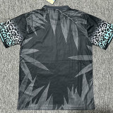 2024 Brazil Special Edition Fans Soccer jersey
