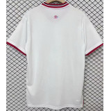 2024/25 Lille Commemorative Edition Fans Soccer jersey