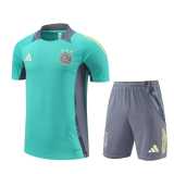 2024/25 Ajax Training Shorts Suit