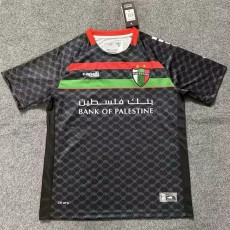 2025/26 CD Palestino Away Fans Soccer jersey