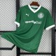 2025/26 Palmeiras Home Green Fans Soccer jersey
