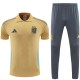 2025 Argentina Yellow Tracksuit