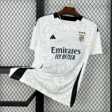 2024/25 Benfica Special Edition Fans Soccer jersey