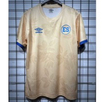 2025/26 El Salvador Special Edition Fans Soccer jersey