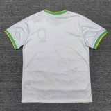 2024 Brazil Special Edition Fans Soccer jersey