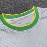 2024 Brazil Special Edition Fans Soccer jersey