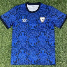 2025/26 Guatemala Training Shirts