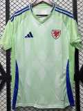 2025 Wales Away Fans Soccer jersey