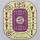 2025/26 Bayern Special Edition Fans Soccer jersey