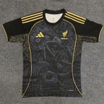[PLAYER] 2025 Mexico Special Edition Player Soccer jersey