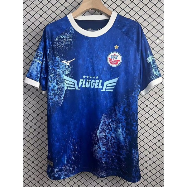 2025/26 Hansa Rostock Special Edition Fans Soccer jersey