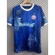 2025/26 Hansa Rostock Special Edition Fans Soccer jersey