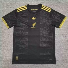2025/26 Mexico Special Edition Fans Soccer jersey