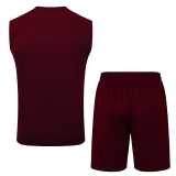 2025/26 Ajax Jujube red Training Shorts Suit