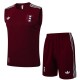 2025/26 Ajax Jujube red Training Shorts Suit