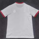 2025/26 Benfica Commemorative Edition Fans Soccer jersey