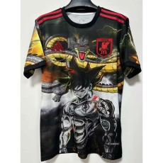 2025 Japan Special Edition Fans Soccer jersey