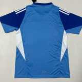 2025/26 Chivas GKL Fans Soccer jersey