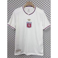 2024/25 Lyon Commemorative Edition 75周年纪念版 Fans Soccer jersey