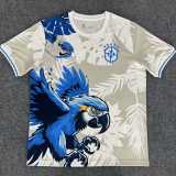 2025 Brazil White Training Shirts