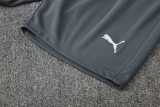2025/26 Man City Gray Training Shorts Suit