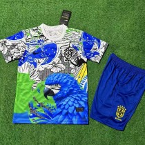 2025 Brazil Special Edition Fans Kids Soccer jersey