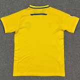 2025/26 Cadiz Home Fans Soccer jersey