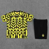 2025/26 Dortmund Yellow Training Shorts Suit