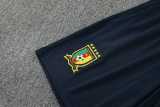 2025/26 Cameroon Royal blue Training Shorts Suit