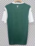 2025/26 Hibernian Home Fans Soccer jersey