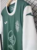 2025/26 Hibernian Home Fans Soccer jersey