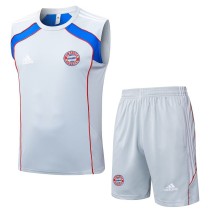 2025/26 Bayern Grey Tank top Training Shorts Suit