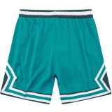 Jordan Green Casual Shorts Pants