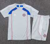 2025/26 Bayern Gray Training Shorts Suit