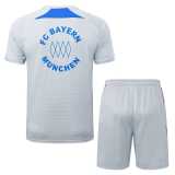 2025/26 Bayern Gray Training Shorts Suit